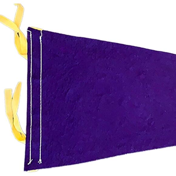 Vintage Felt Pennant Memorial Junior High School 23.5" x 8" Purple Gold Horse - Picture 4 of 6